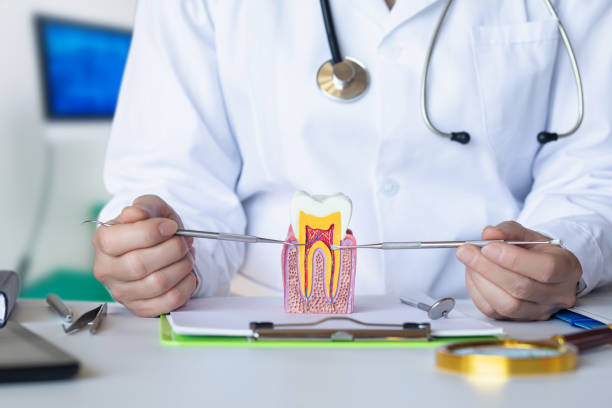 Best Knocked-Out Tooth (Avulsed Tooth) Treatment in Carson City, NV